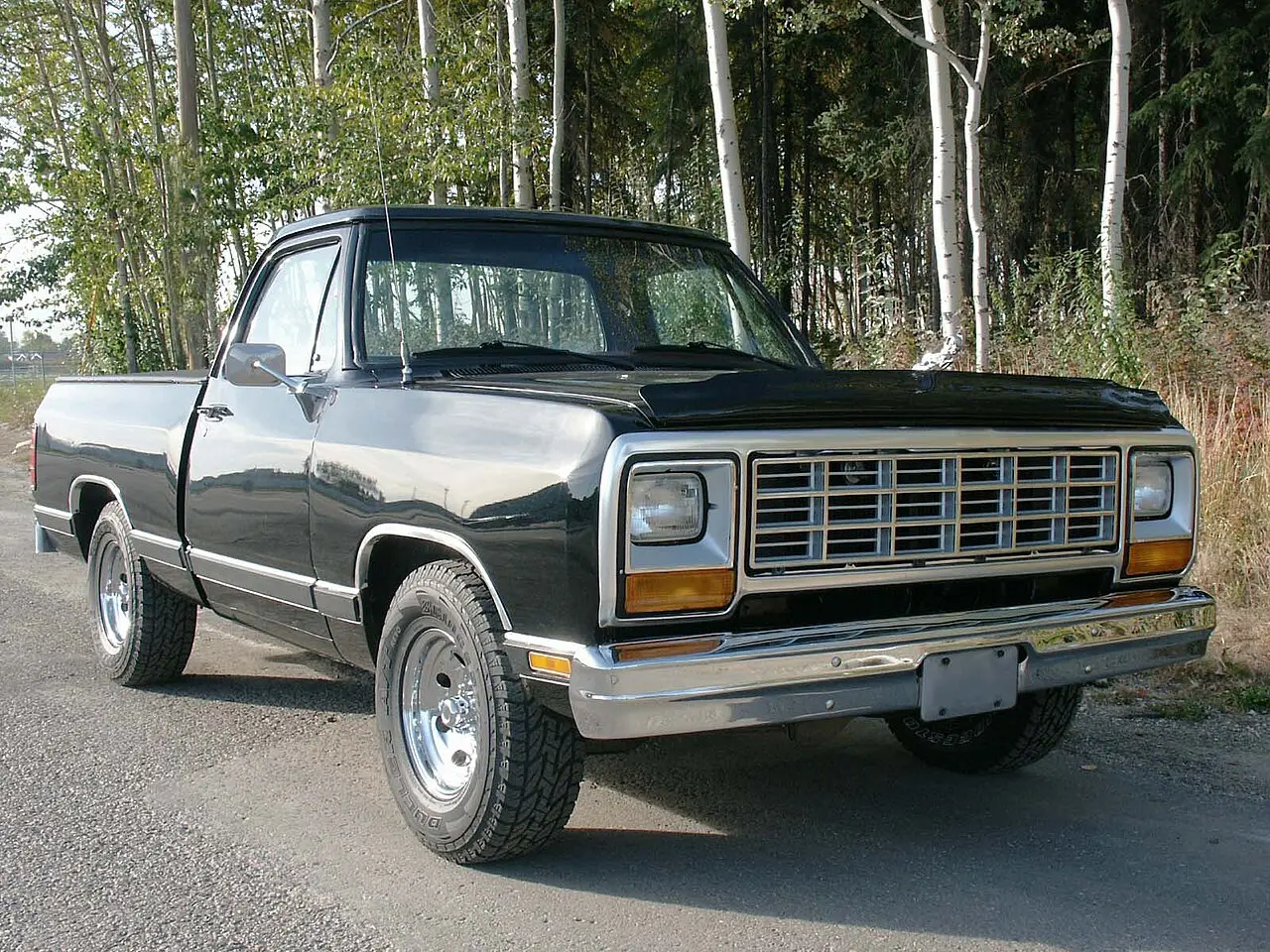 Dodge D/W Series
