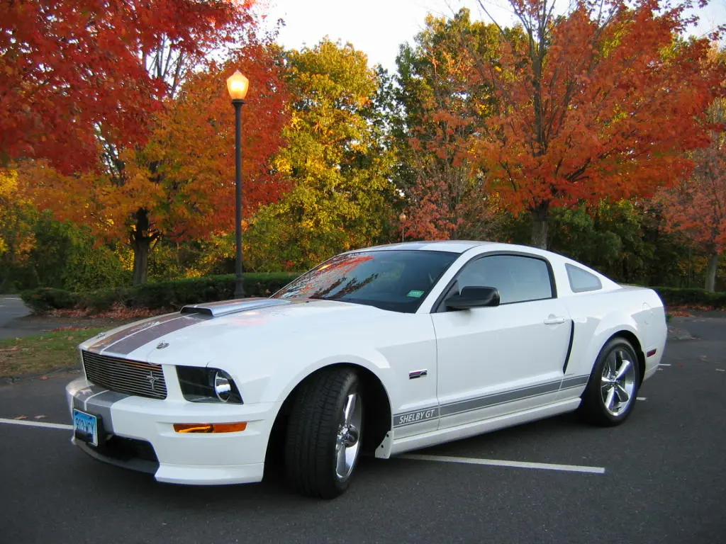 Shelby Mustang
